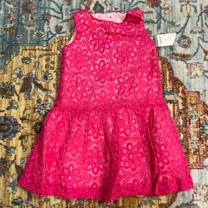 Gymboree Egg Hunt hot pink fuchsia floral embroidered drop waist dressy dress 3T